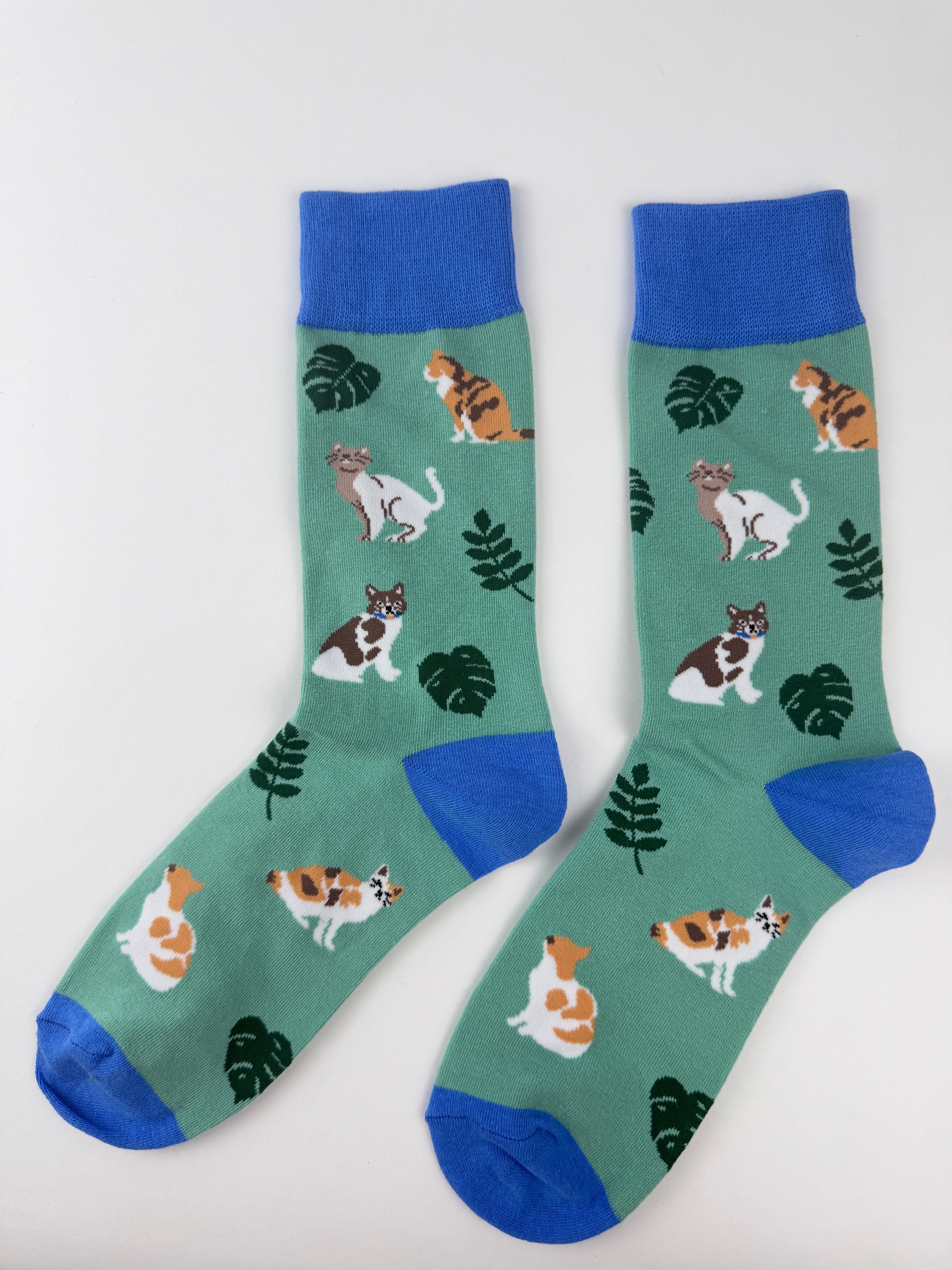 Spring Socks – Playful Cats Crew Socks