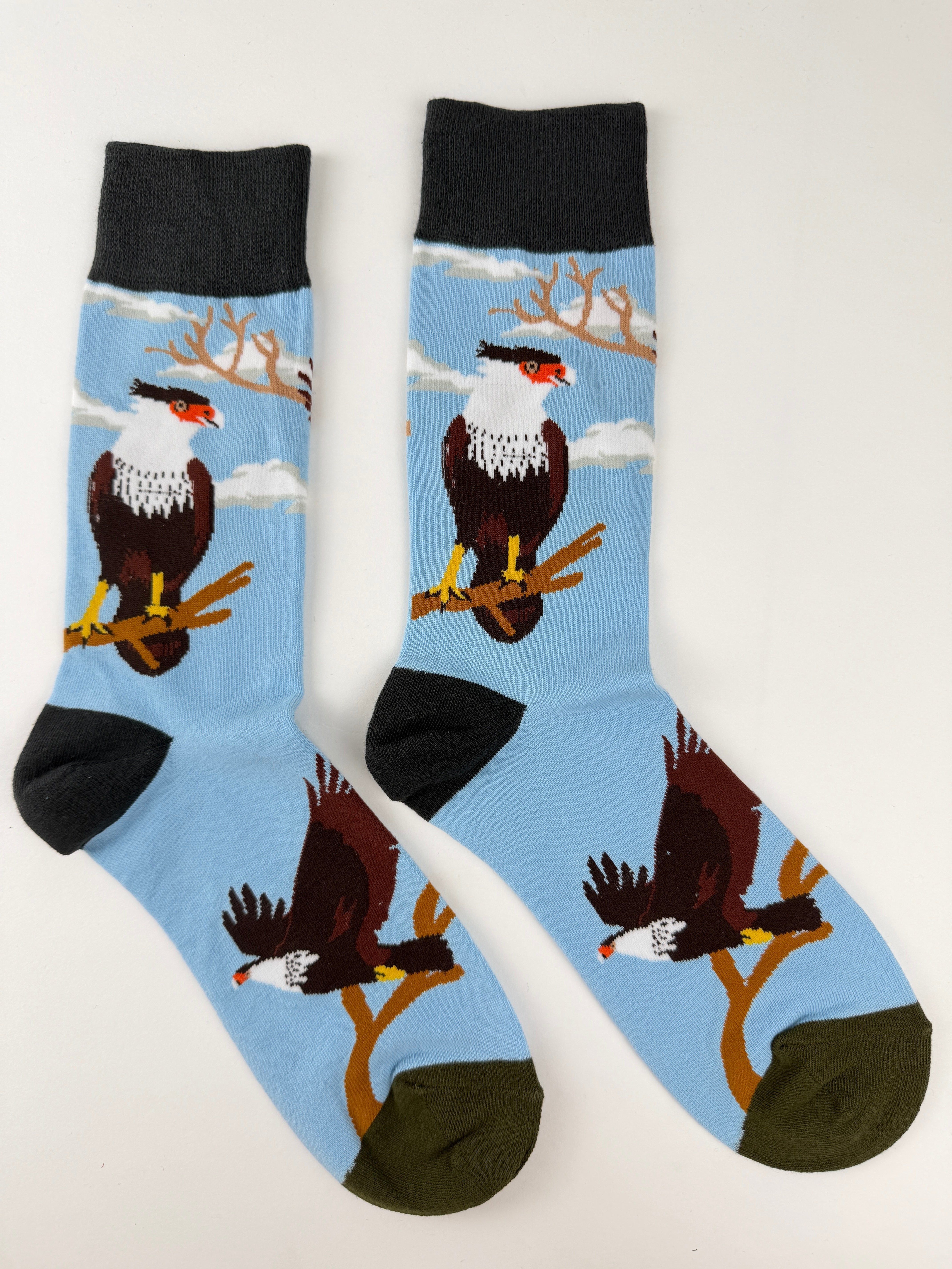 Mexico Eagle Sky Blue Crew Socks Unisex