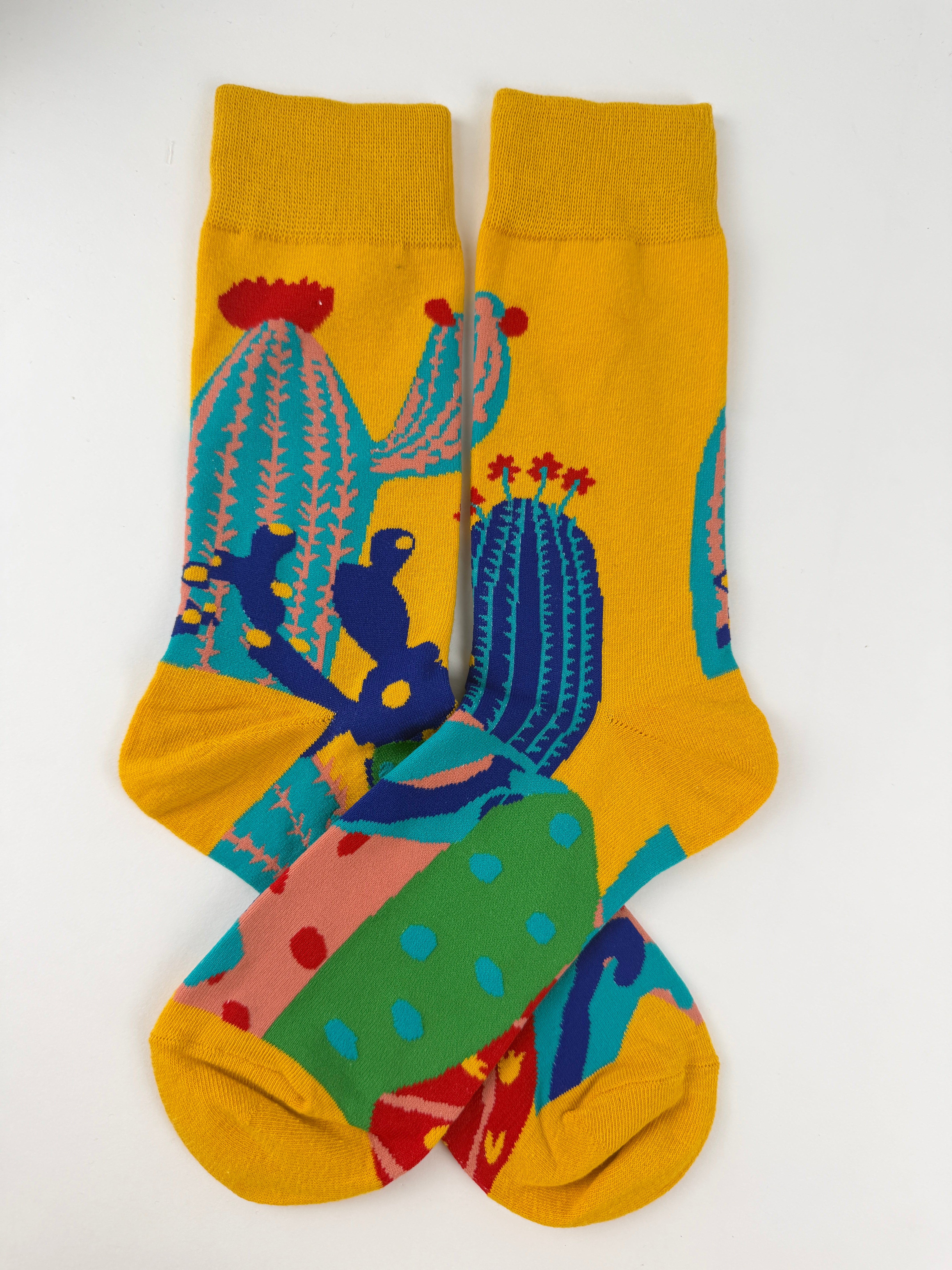 Cactus Desert Plant Socks